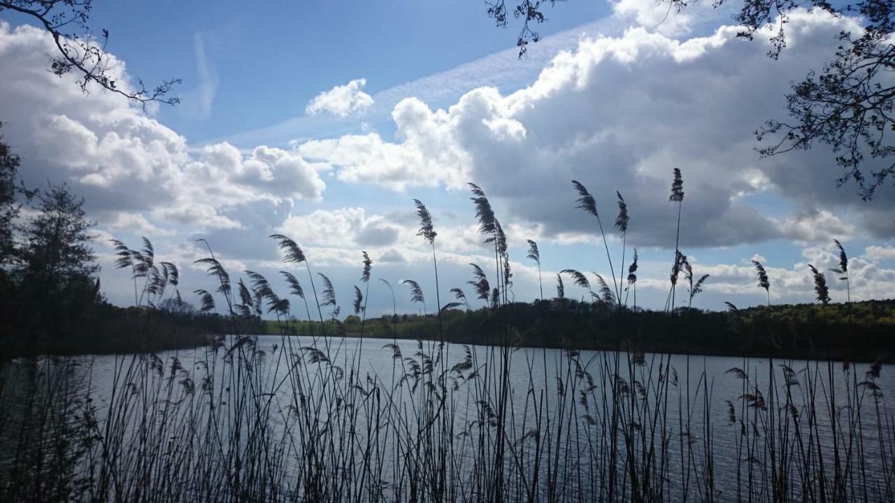 Schloonseevilla Mit Tiefgarage - 200 M Zum Strand Heringsdorf  Bagian luar foto